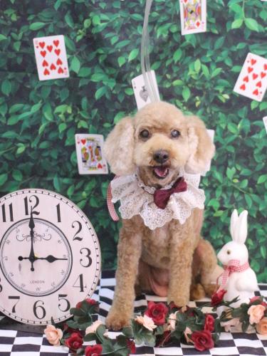 20250415マノアちゃん